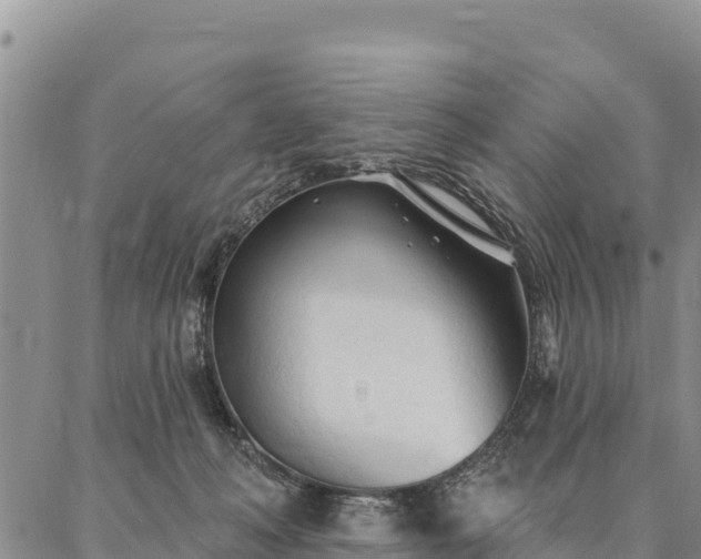 X0000086900222200704231201