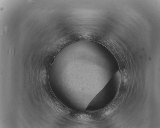 X0000086900223200704231201