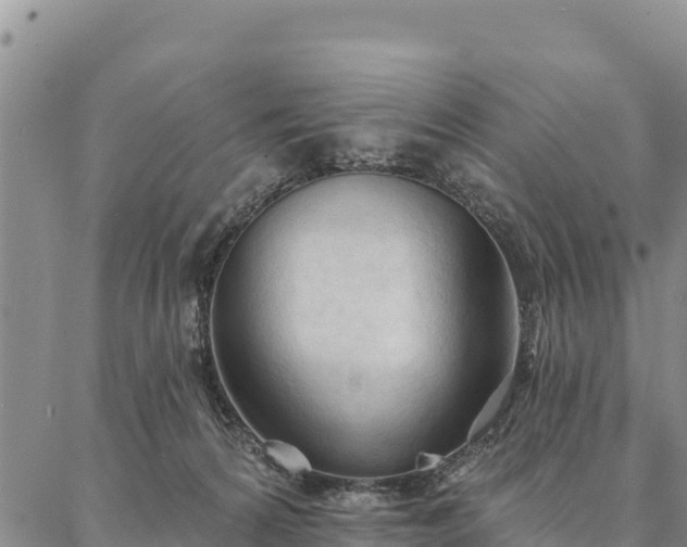 X0000086900224200704231201