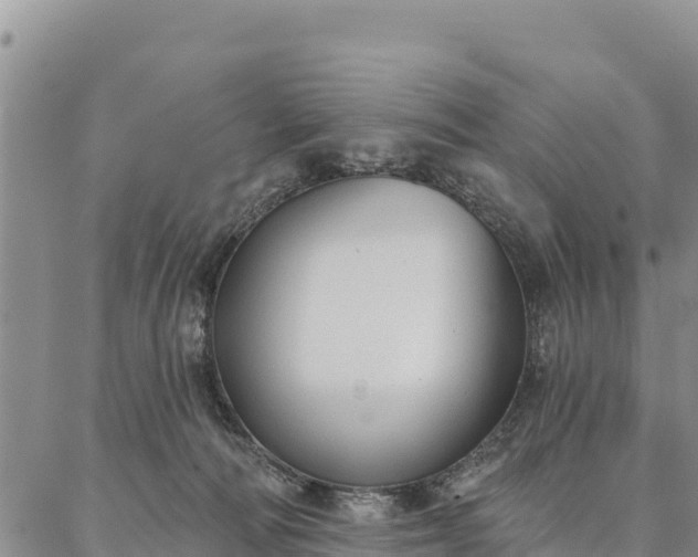 X0000086900226200704231201