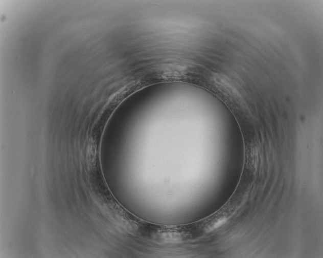 X0000086900228200704231201