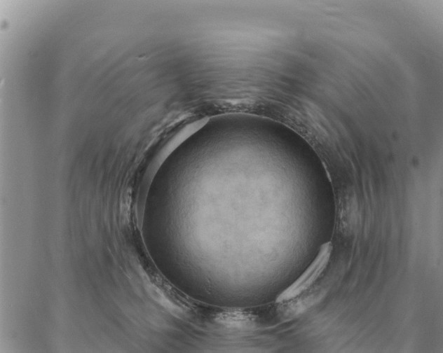 X0000086900231200704231201