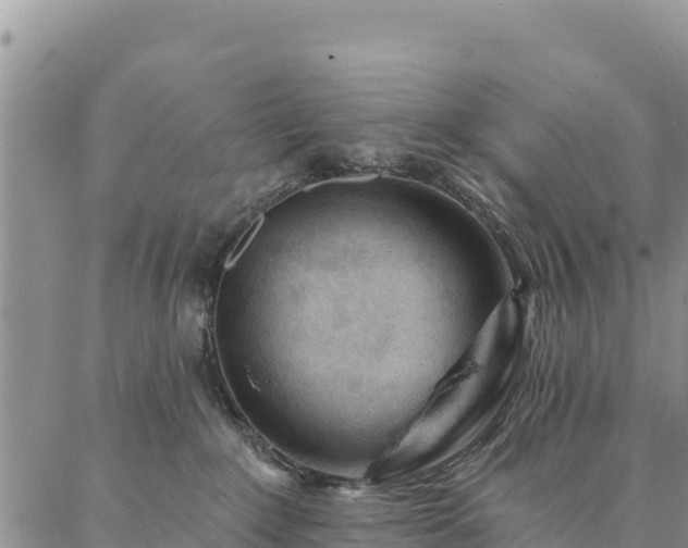 X0000086900235200704231201