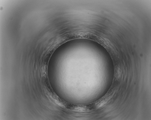 X0000086900236200704231201