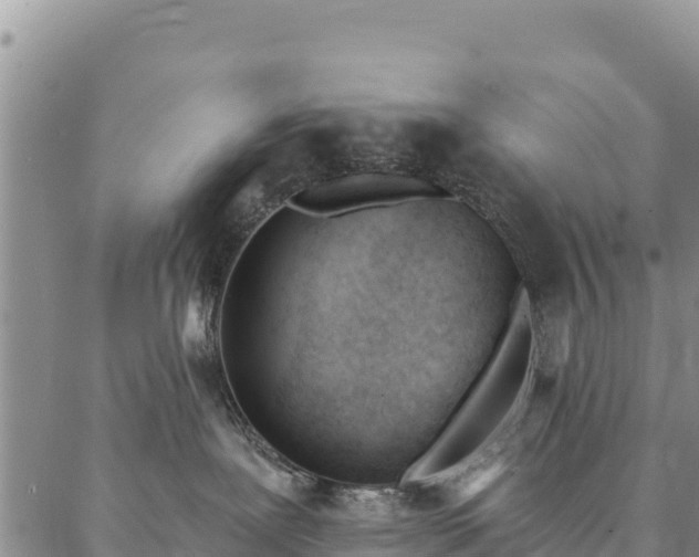 X0000086900239200704231201