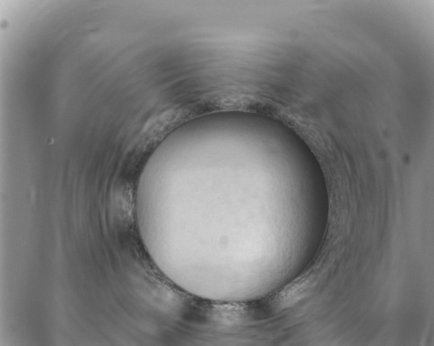 X0000086900240200704231201