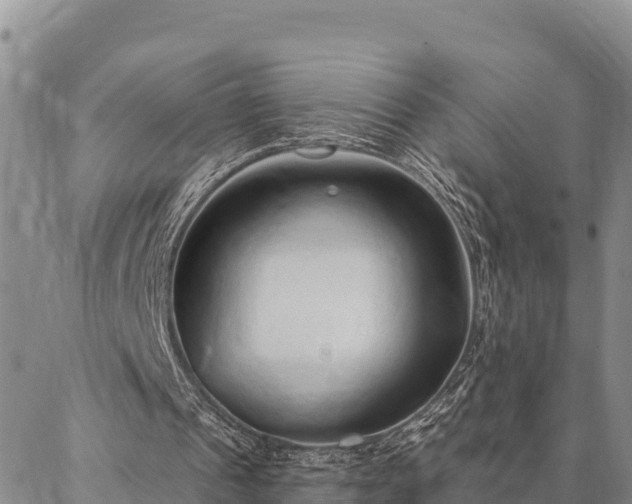 X0000086900241200704231200