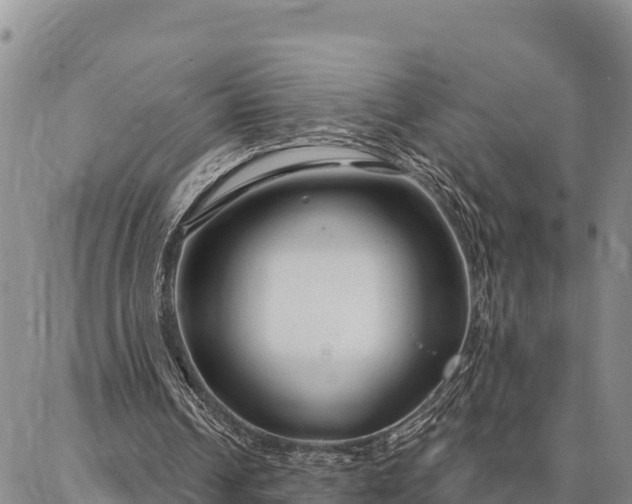 X0000086900242200704231200