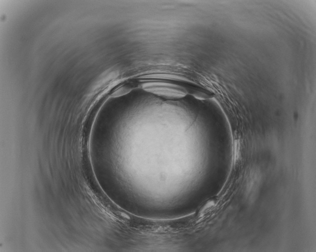 X0000086900243200704231200