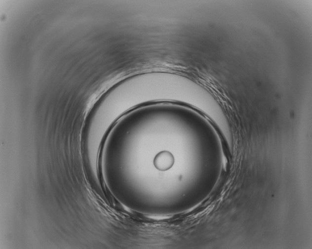 X0000086900244200704231200