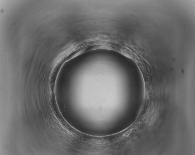 X0000086900245200704231200