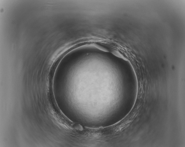 X0000086900247200704231200