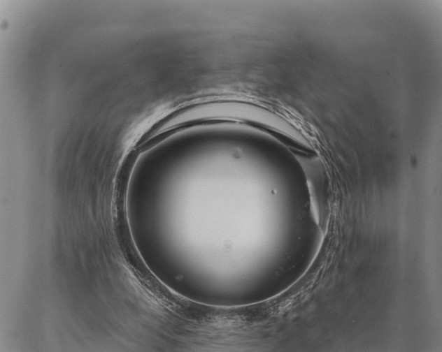 X0000086900248200704231200