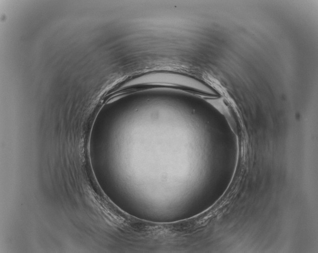 X0000086900249200704231200