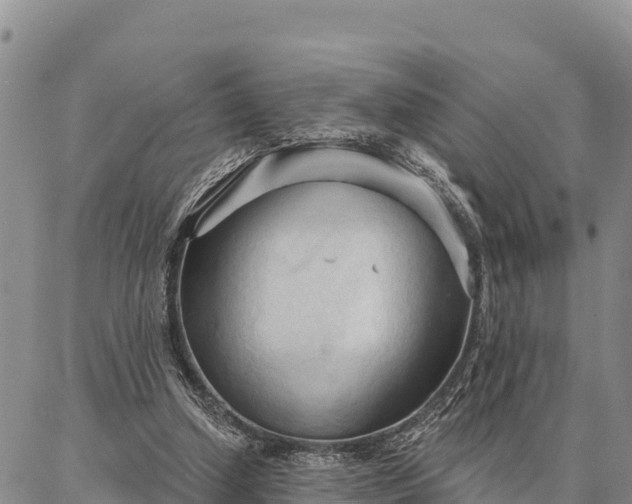 X0000086900250200704231200