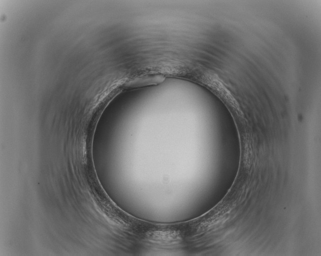 X0000086900251200704231200