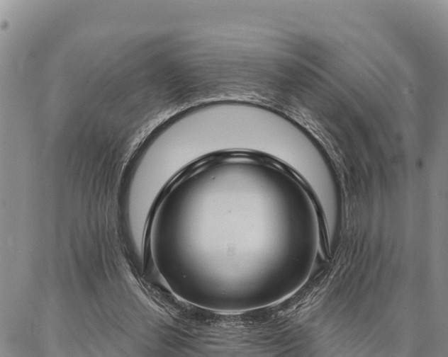 X0000086900252200704231200