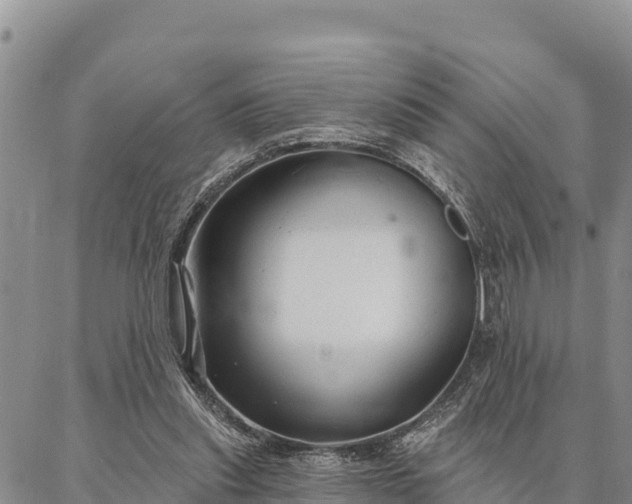 X0000086900253200704231200