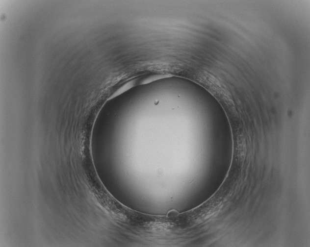 X0000086900255200704231200