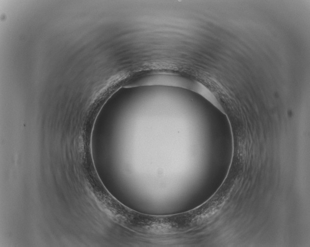 X0000086900256200704231200