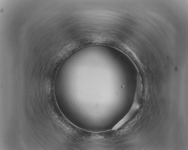 X0000086900257200704231200