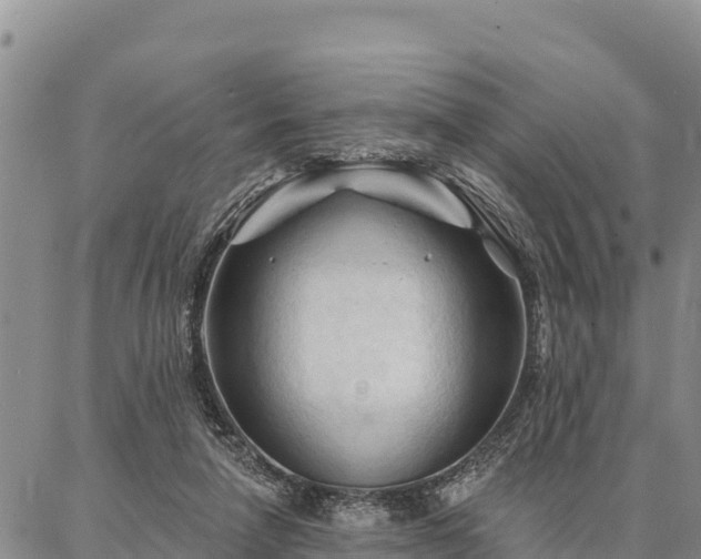 X0000086900258200704231200