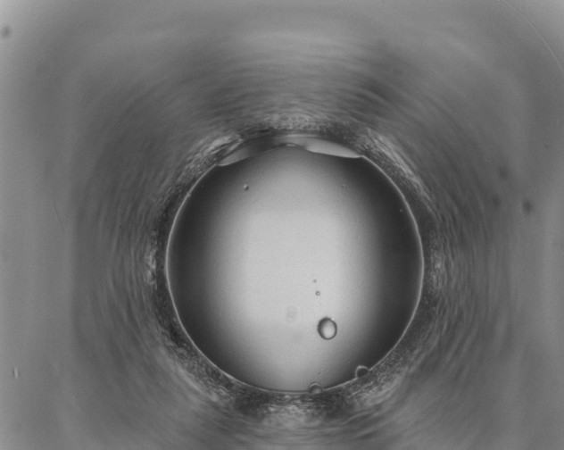 X0000086900259200704231200