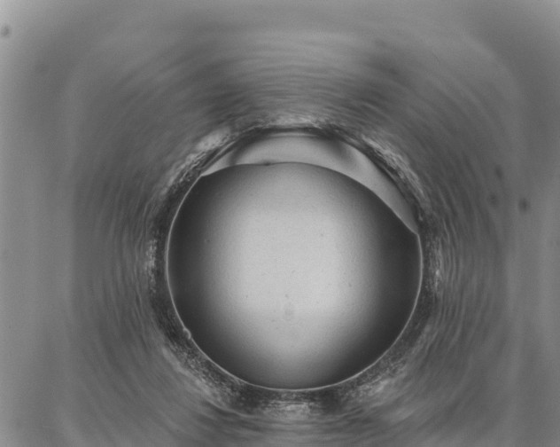 X0000086900260200704231200