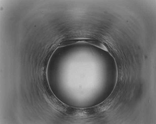 X0000086900263200704231200