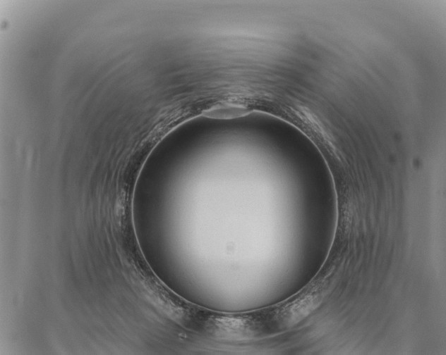 X0000086900265200704231200