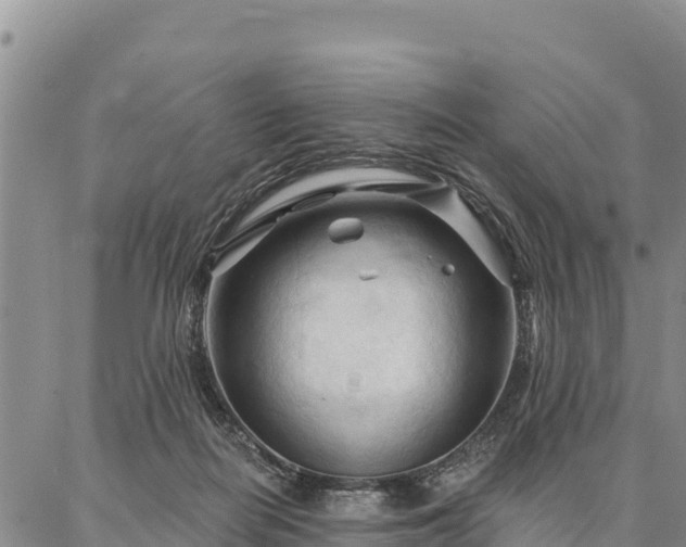 X0000086900266200704231200