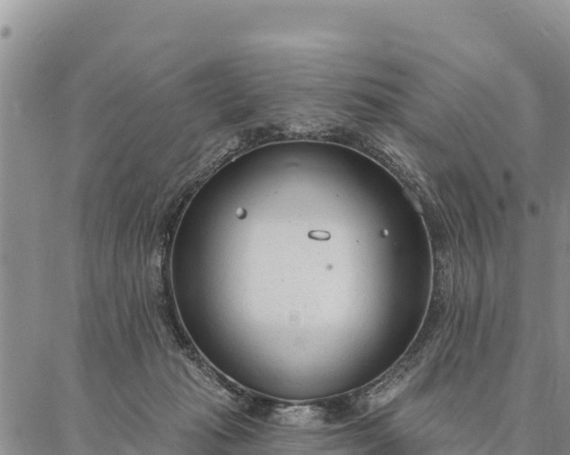 X0000086900269200704231201