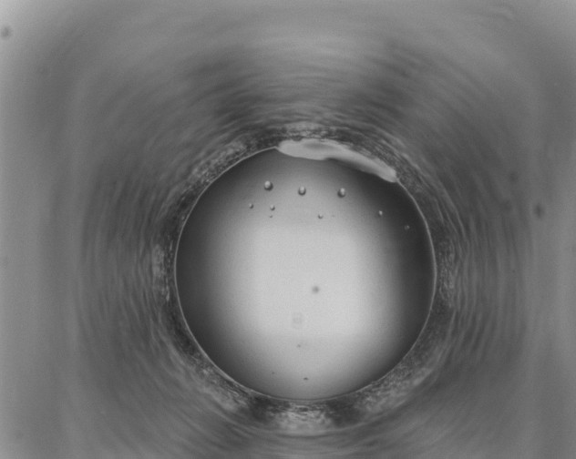 X0000086900270200704231201