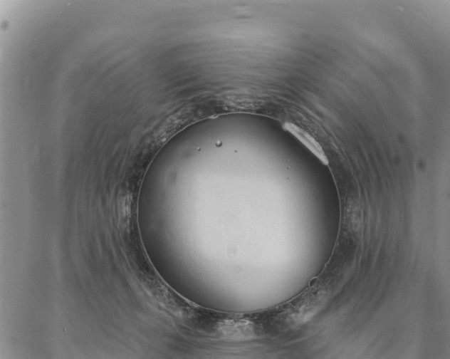 X0000086900271200704231201