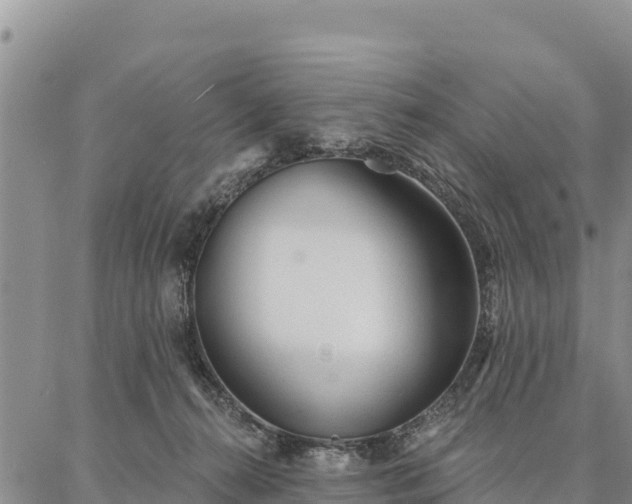 X0000086900272200704231201