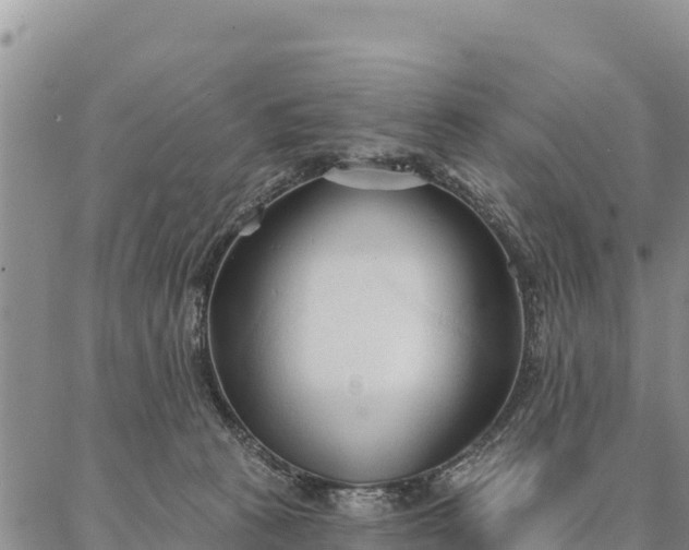 X0000086900273200704231201