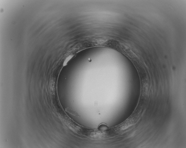 X0000086900274200704231201