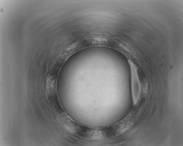 X0000086900276200704231201