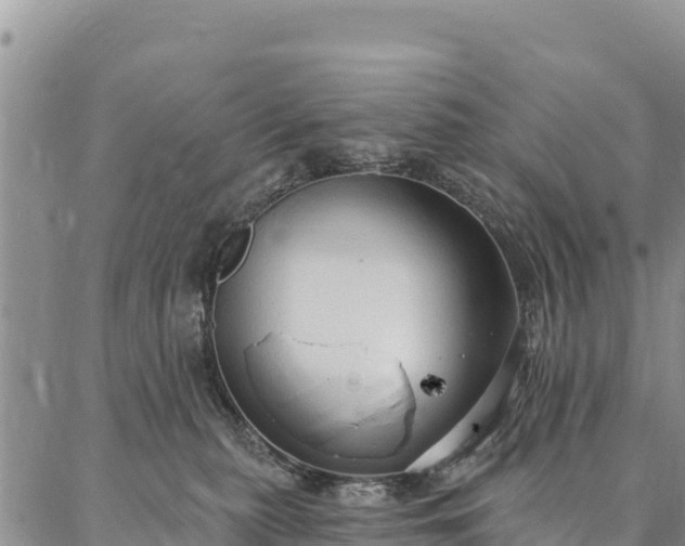 X0000086900279200704231201