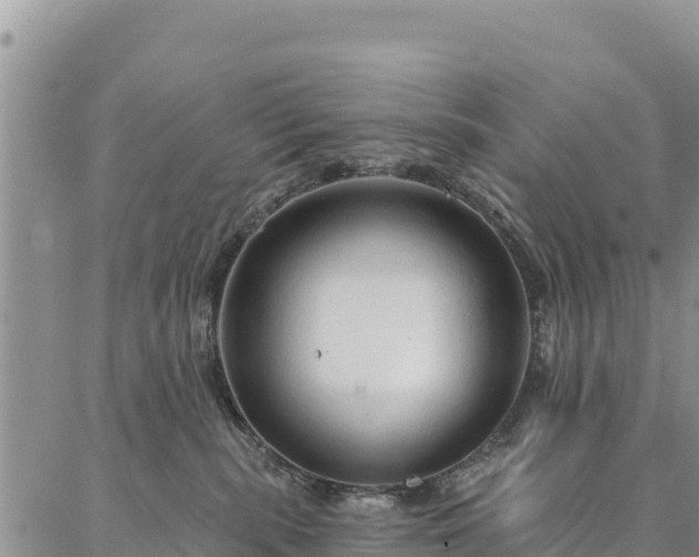 X0000086900283200704231201