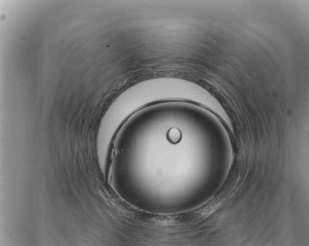 X0000086900284200704231201