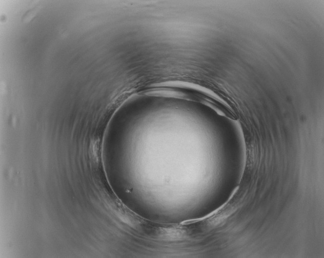 X0000086900286200704231201