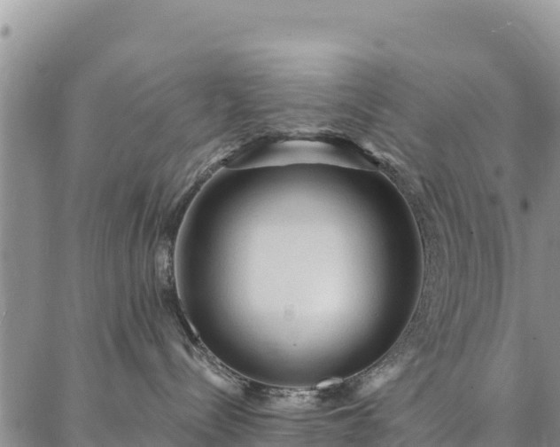 X0000086900288200704231201