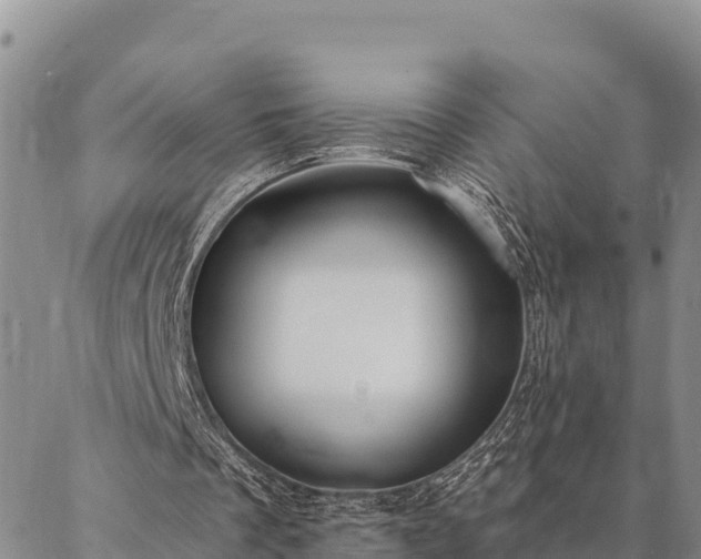 X0000086900289200704231200