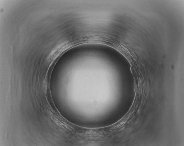 X0000086900290200704231200