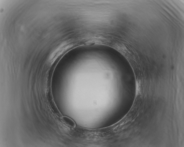 X0000086900291200704231200