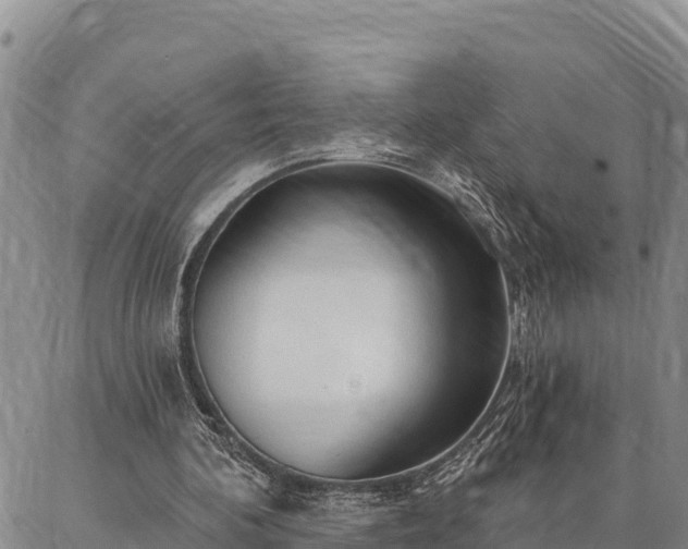 X0000086900292200704231200