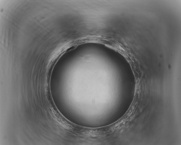 X0000086900293200704231200