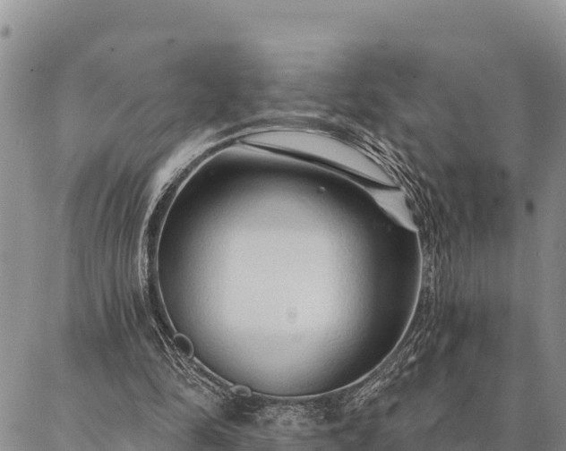 X0000086900294200704231200