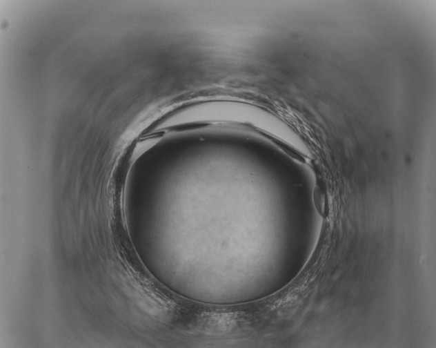 X0000086900295200704231200